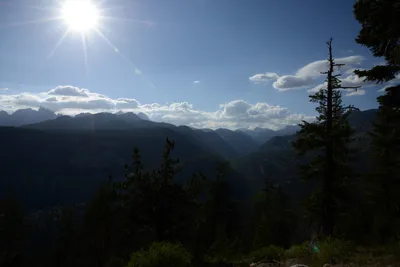 DSC_3538 (Large).JPG